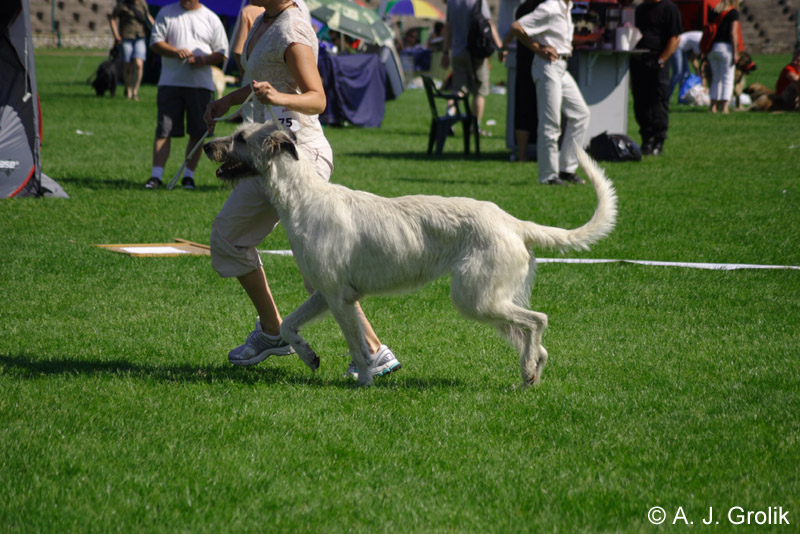 CRW_5351