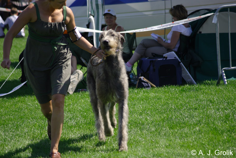 CRW_5352