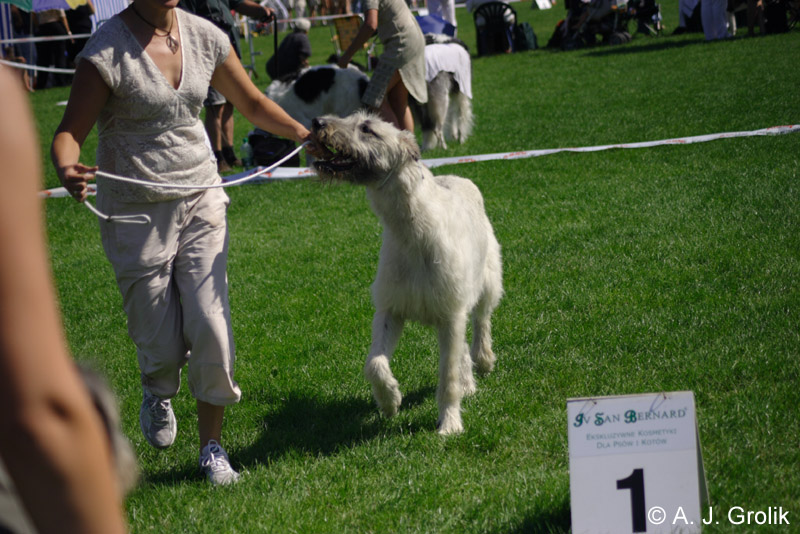 CRW_5353