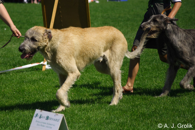 CRW_5356