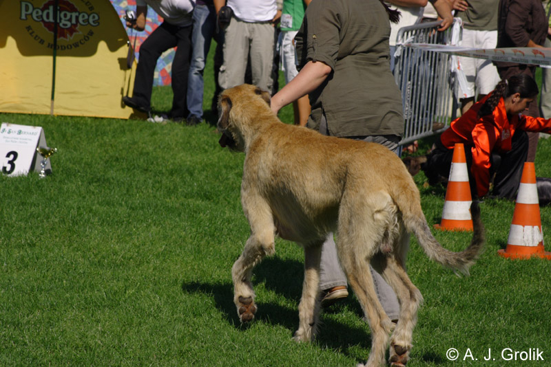CRW_5380