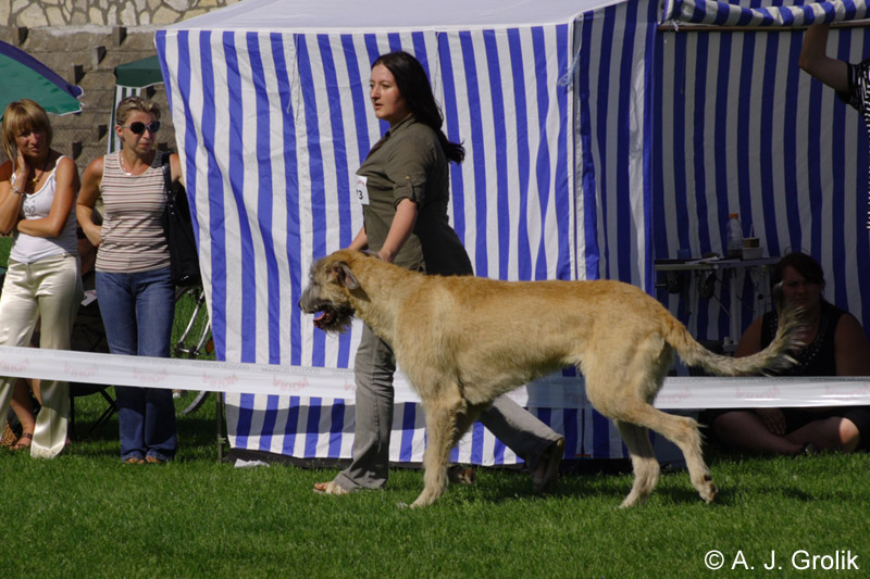 CRW_5382