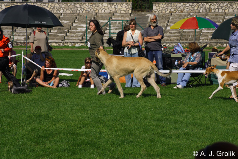 CRW_5386