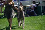 CRW_5352