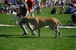 CRW_5354