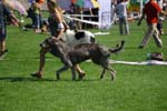 CRW_5355