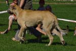 CRW_5372