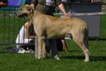 CRW_5379