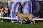 CRW_5382