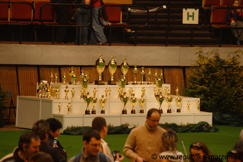 01_CACIB_Katowice_2008