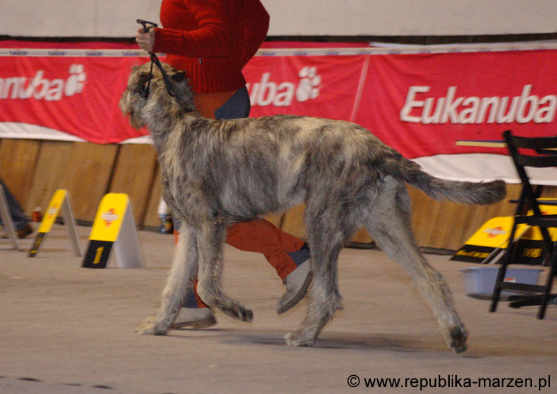 05_BRAIAN_OCONNEL_Savinika