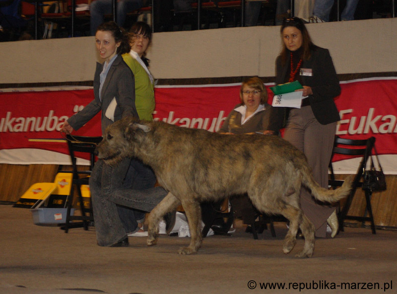 30_RYANAIR_Sagittarius