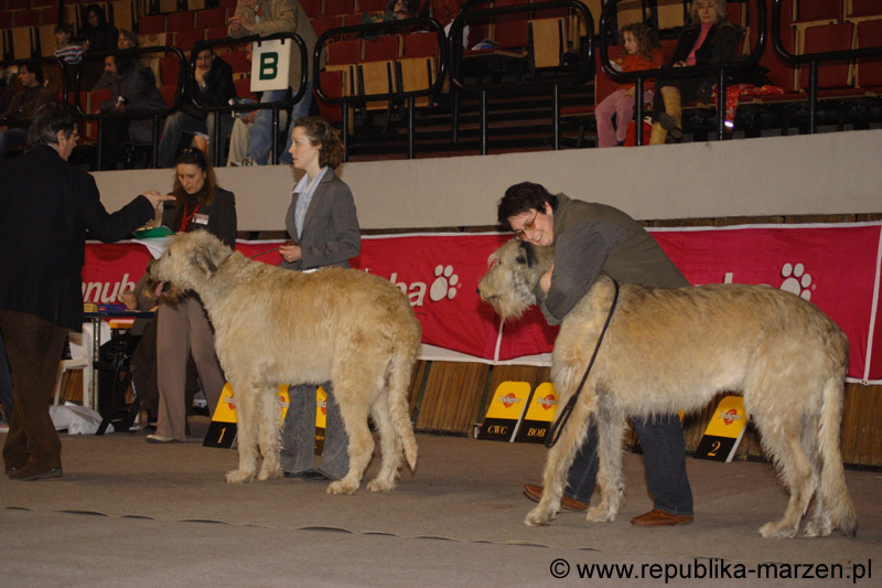 40_FAMO_FORRESTER
