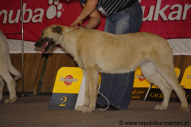 52_LAILA_Celtic_Alanda