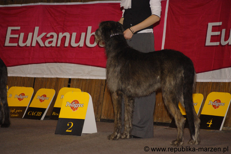 76_SUNGARI_Sagittarius