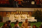 01_CACIB_Katowice_2008