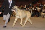 08_LOGAN_Celtic_Alanda 
