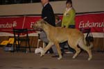 54_MARTYNIKA_Celtic_Alanda