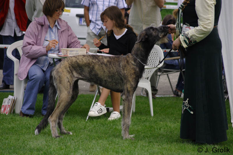 CRW_5862