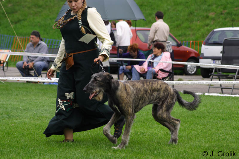 CRW_5866