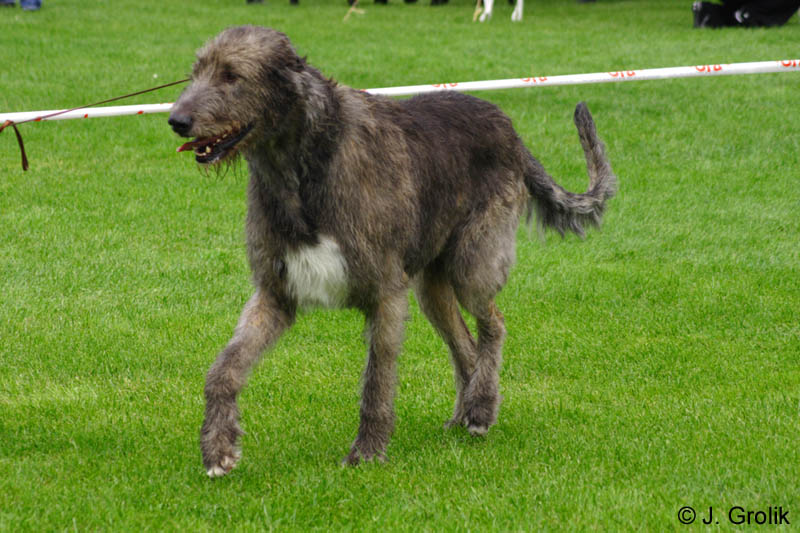 CRW_5871