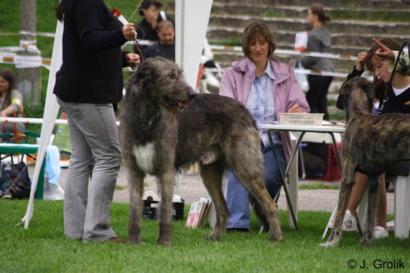 CRW_5881