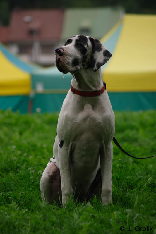 CRW_5923