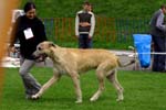 CRW_5837