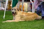 CRW_5844