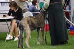 CRW_5857