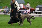 CRW_5866