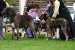 CRW_5884