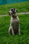 CRW_5921