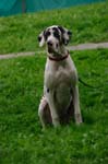 CRW_5922