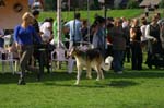 IMG_5960