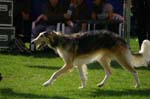 IMG_5962