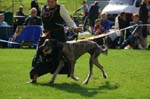 IMG_5969