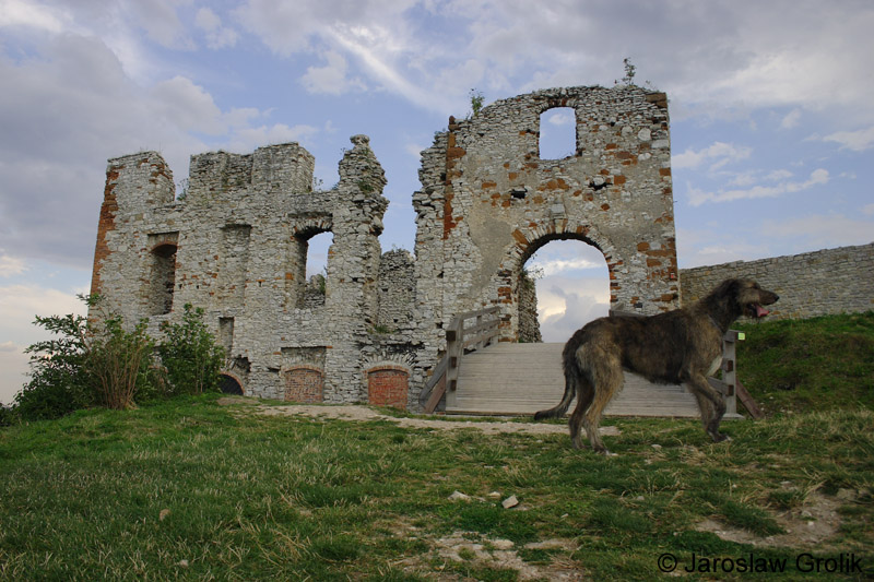 CRW_6281