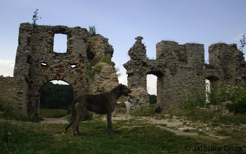 CRW_6302