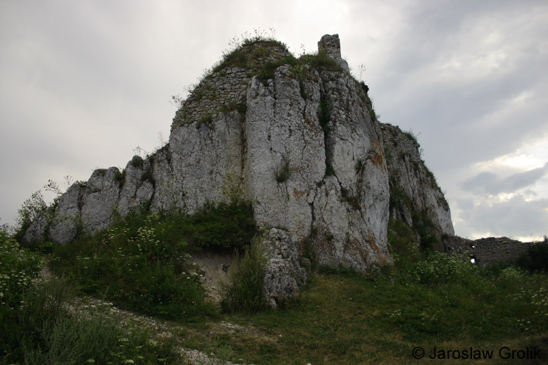 CRW_6306
