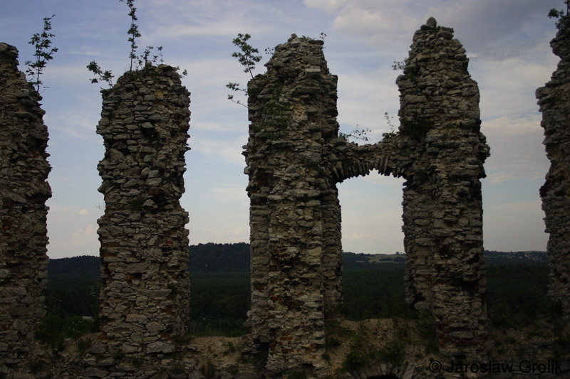 CRW_6307