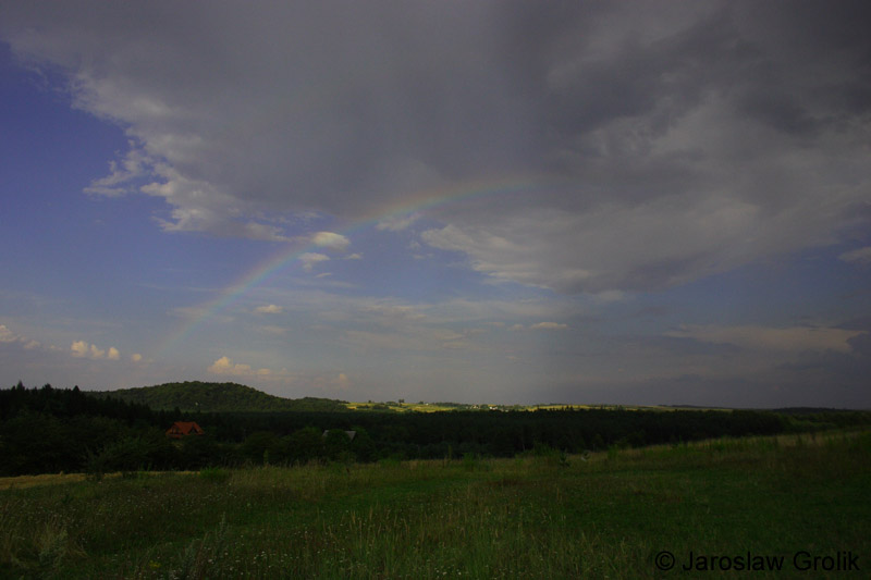 CRW_6354