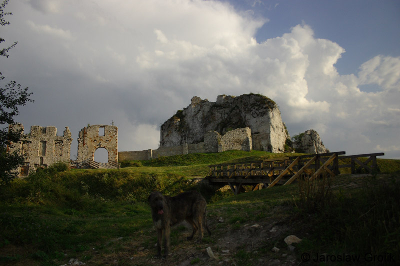 CRW_6365
