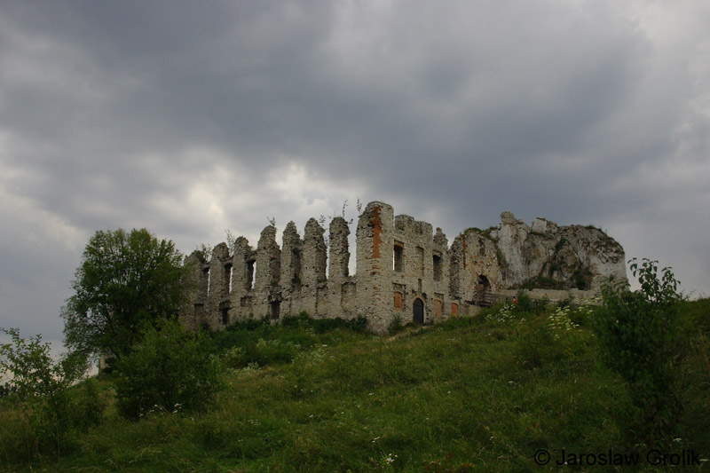 CRW_6390