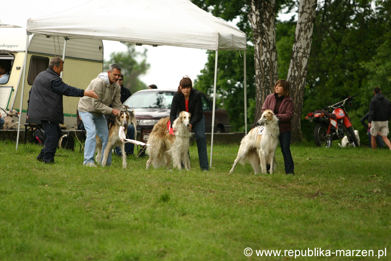 Swierklaniec 7VI09 Coursing 003