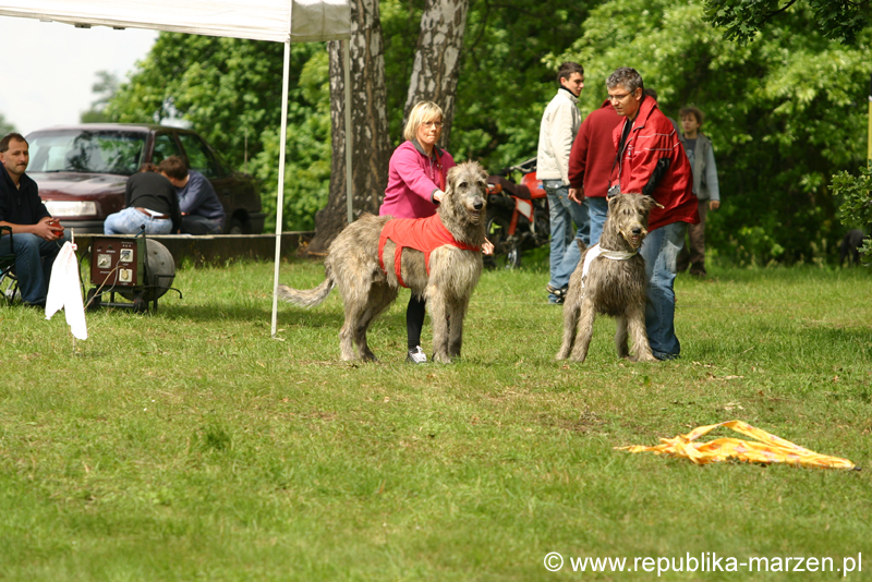 Swierklaniec 7VI09 Coursing 012