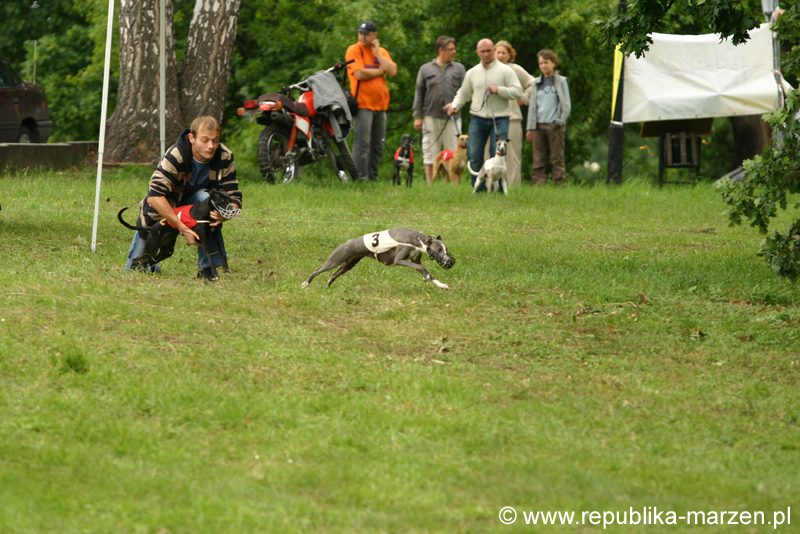 Swierklaniec 7VI09 Coursing 044