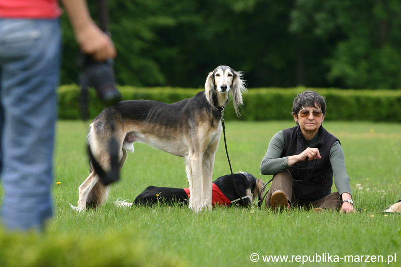 Swierklaniec 7VI09 Coursing 054