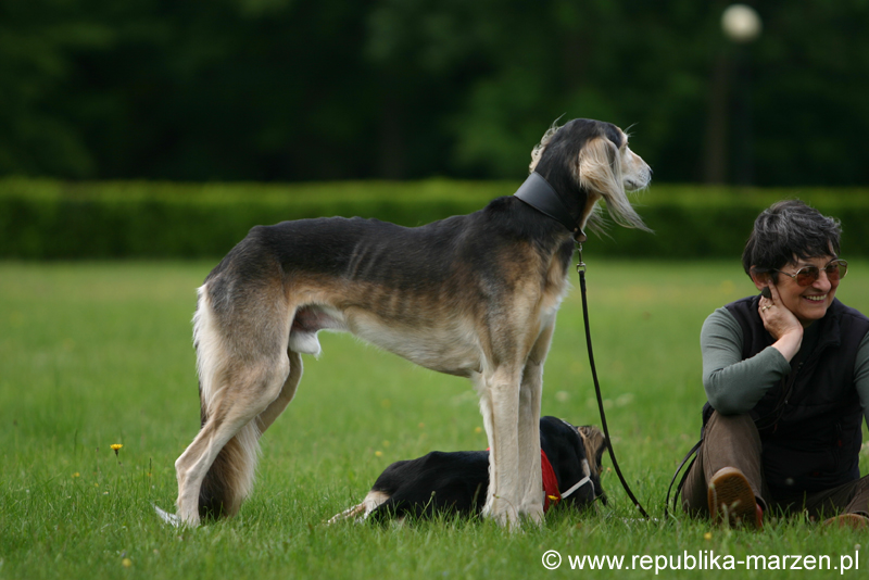 Swierklaniec 7VI09 Coursing 055