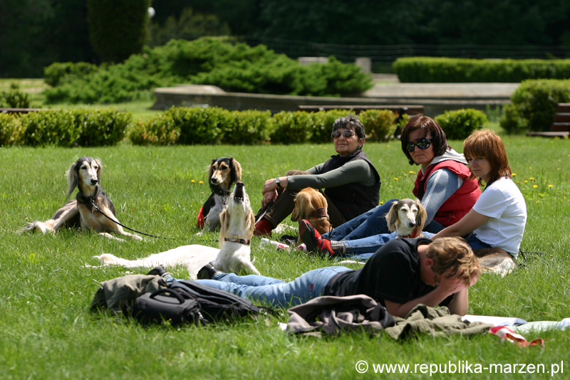 Swierklaniec 7VI09 Coursing 058
